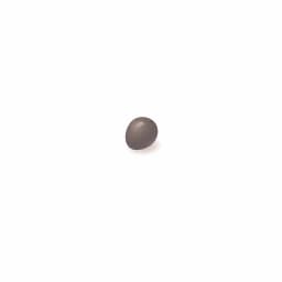 Illustration of a poppy seed, showing the approximate size of the baby at week 4