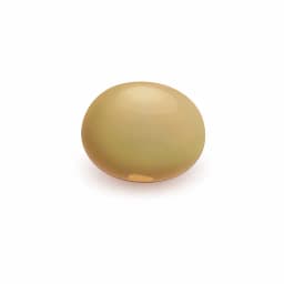 Illustration of a lentil, showing the approximate size of the baby at week 6