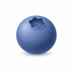 Illustration of a blueberry, showing the approximate size of the baby at week 7