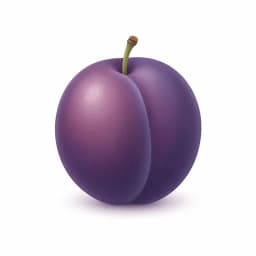 Illustration of a plum, showing the approximate size of the baby at week 12