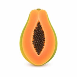 Illustration of a papaya, showing the approximate size of the baby at week 22
