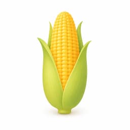 Illustration of a ear of corn, showing the approximate size of the baby at week 24