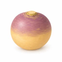 Illustration of a rutabaga, showing the approximate size of the baby at week 25