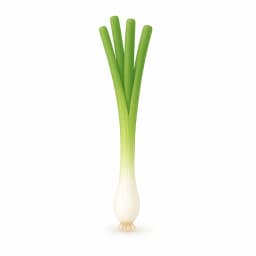 Illustration of a spring onion, showing the approximate size of the baby at week 26