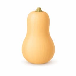 Illustration of a butternut squash, showing the approximate size of the baby at week 29