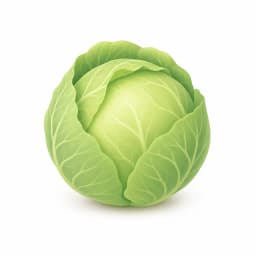 Illustration of a large cabbage, showing the approximate size of the baby at week 30