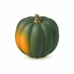 Illustration of a squash, showing the approximate size of the baby at week 32