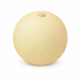 Illustration of a cantaloupe melon, showing the approximate size of the baby at week 34