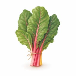 Illustration of a bunch of swiss chard, showing the approximate size of the baby at week 37