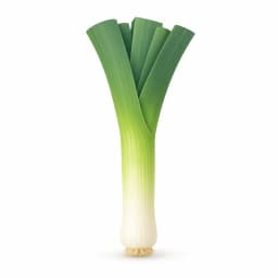 Illustration of a leek, showing the approximate size of the baby at week 38