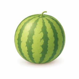 Illustration of a small watermelon, showing the approximate size of the baby at week 39